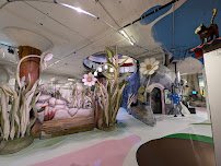 The Rabbit hOle photo 3