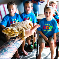 Once In A Wild Mobile Zoo photo 4