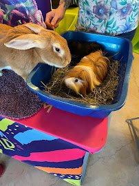 Once In A Wild Mobile Zoo photo 5