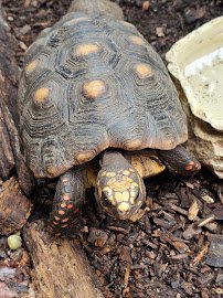 Animal Ed.ventures Sanctuary: Earth-Speak Park photo 3