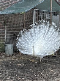 Animal Ed.ventures Sanctuary: Earth-Speak Park photo 4