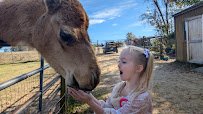 Animal Ed.ventures Sanctuary: Earth-Speak Park photo 6