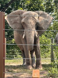 Kansas City Zoo & Aquarium photo 4