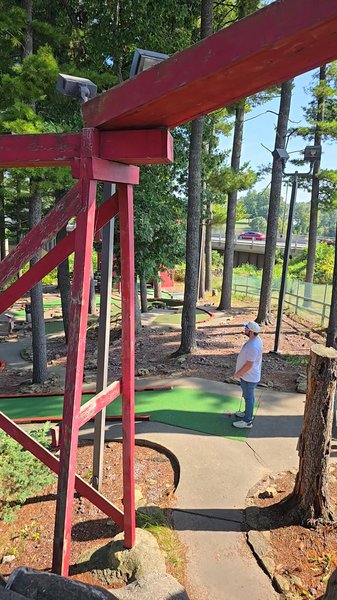 Timber Falls Adventure Park photo 2