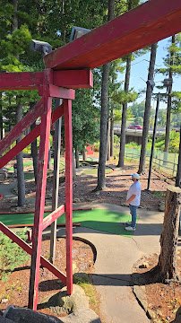 Timber Falls Adventure Park photo 2