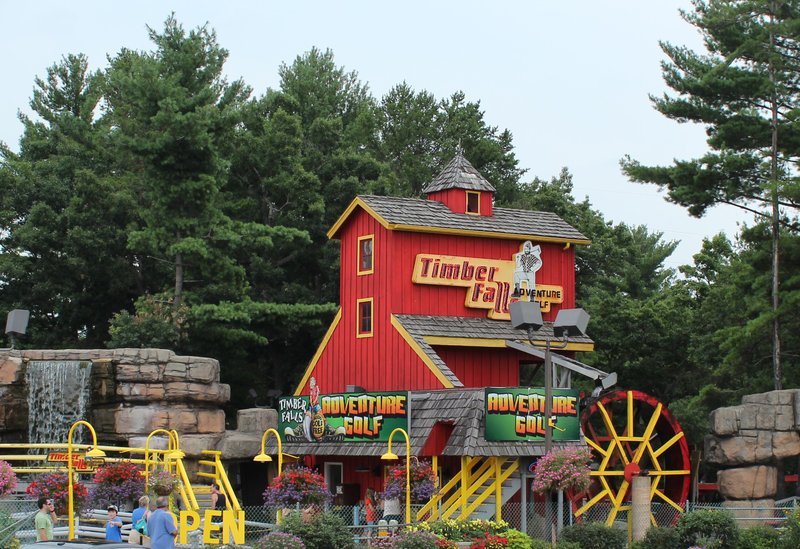 Timber Falls Adventure Park photo 3