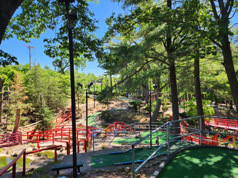 Timber Falls Adventure Park photo 5