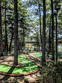 Timber Falls Adventure Park photo 5