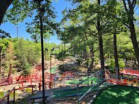 Timber Falls Adventure Park photo 6