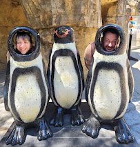 Akron Zoo photo 6