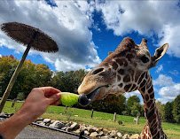 Keystone Safari