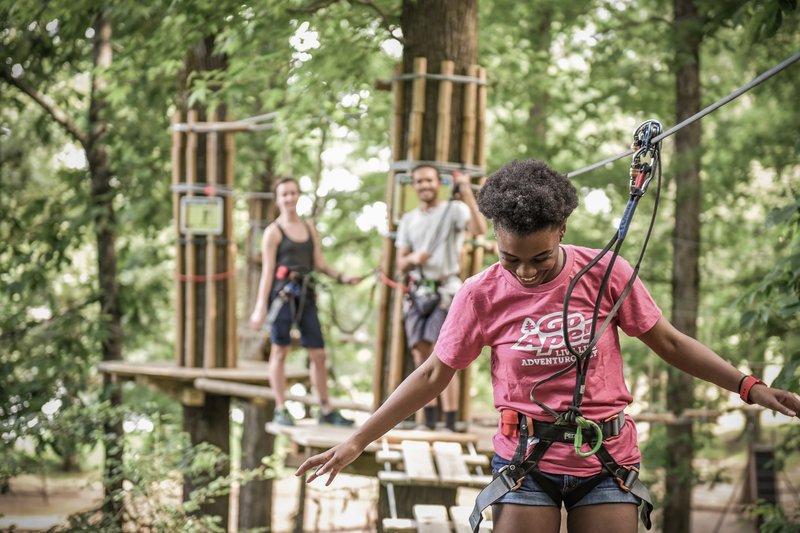 Go Ape Zipline and Adventure Park photo 1