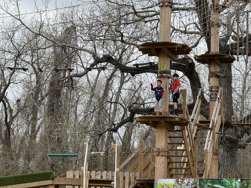 Go Ape Zipline and Adventure Park photo 4