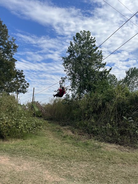 Go Ape Zipline and Adventure Park photo 5