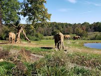 North Carolina Zoo photo 5