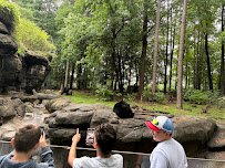 North Carolina Zoo photo 6