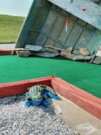 Freedom Fairway Miniature Golf LLC photo 2