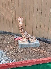 Freedom Fairway Miniature Golf LLC photo 6