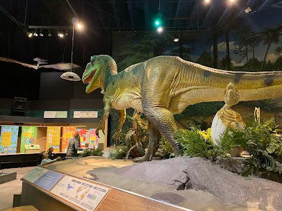 Pacific Science Center photo 3