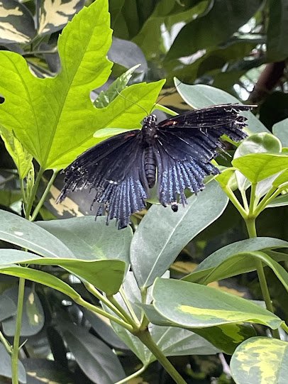 Pacific Science Center photo 6