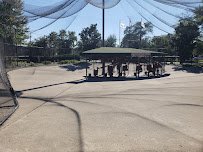 Pioneer Park photo 5