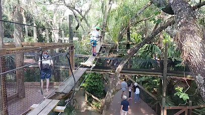 Treetop Trek inside Brevard Zoo photo 2