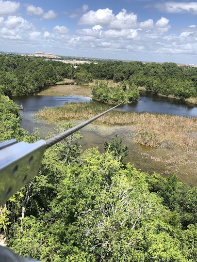 Treetop Trek inside Brevard Zoo photo 5