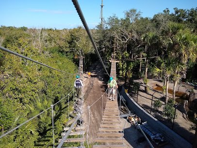 Treetop Trek inside Brevard Zoo photo 6