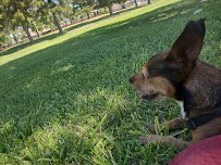 The Adventuredome Indoor Theme Park photo 4