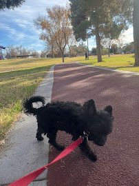 The Adventuredome Indoor Theme Park photo 5