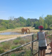 North Carolina Zoological Society photo 5