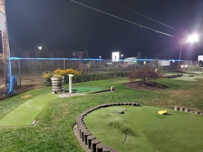PuttSkee's Mini-Golf photo 6