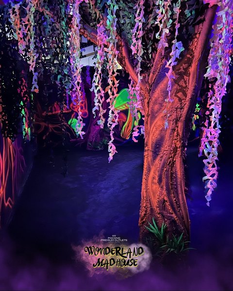 Wonderland Madhouse photo 4