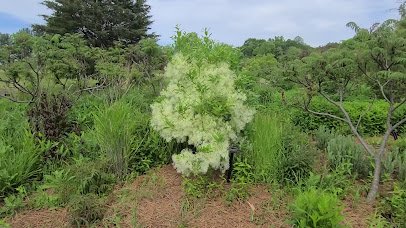 The Holden Arboretum photo 2
