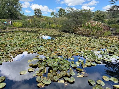 The Holden Arboretum photo 6