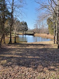 Signal Bay Waterpark photo 4