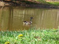 Signal Bay Waterpark photo 5