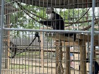 Luray Zoo - A Rescue Zoo