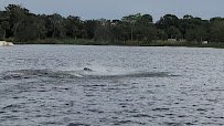 Revolution Cable Park photo 2