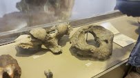 South Carolina State Museum photo 2