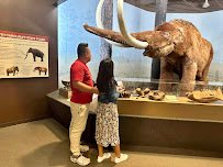South Carolina State Museum photo 6