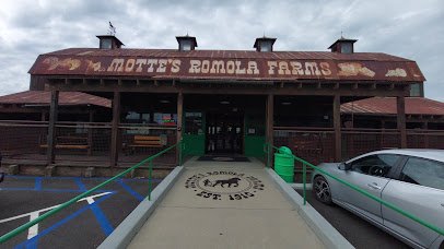 Motte Historical Car Museum photo 2