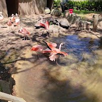 Alexandria Zoological Park photo 2