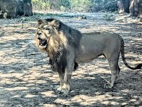 Alexandria Zoological Park photo 3