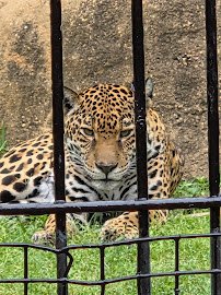 Alexandria Zoological Park photo 4