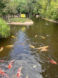 Alexandria Zoological Park photo 5