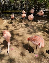 Alexandria Zoological Park photo 6