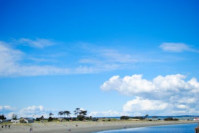 Port Townsend Marine Science Center photo 4