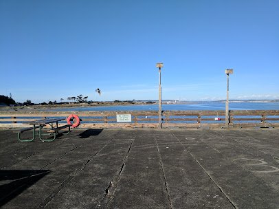 Port Townsend Marine Science Center photo 6