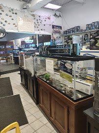 Centreville Aquarium